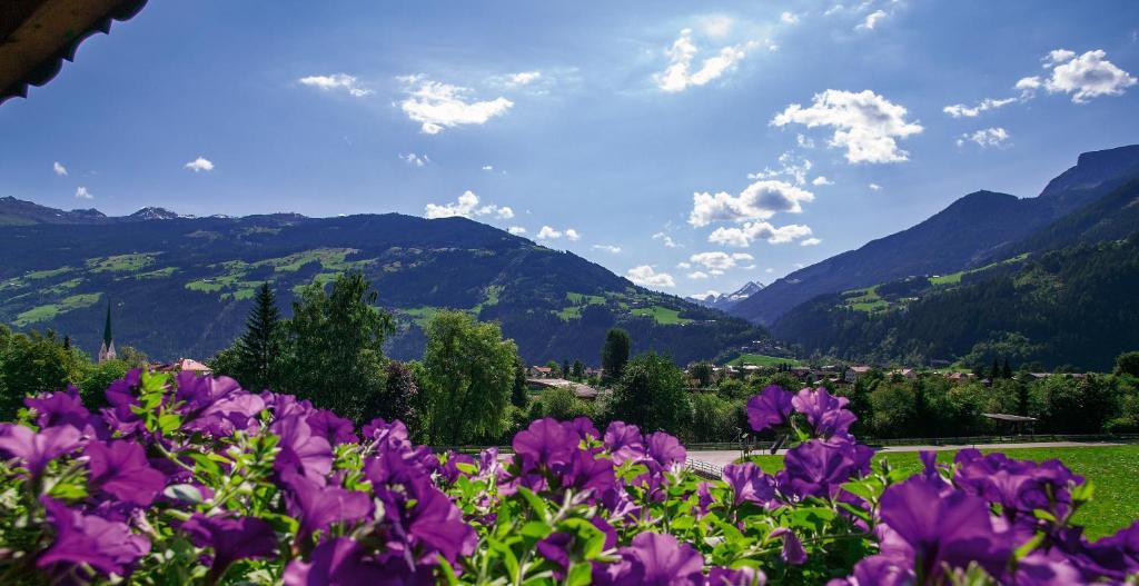 Villa Haidacher Relax&Lifestyle Apartments Zell am Ziller Zimmer foto