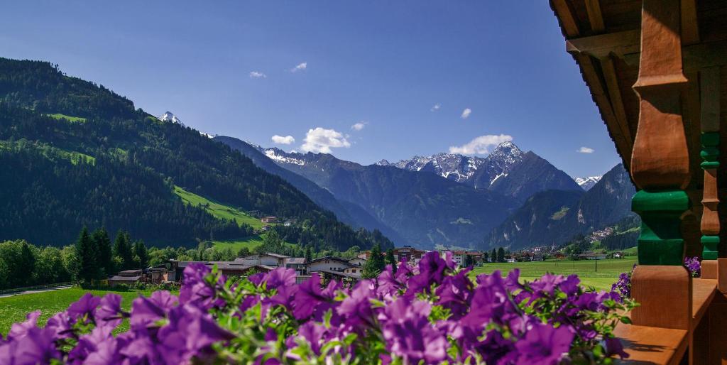 Villa Haidacher Relax&Lifestyle Apartments Zell am Ziller Zimmer foto